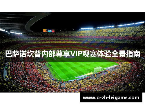 巴萨诺坎普内部尊享VIP观赛体验全景指南