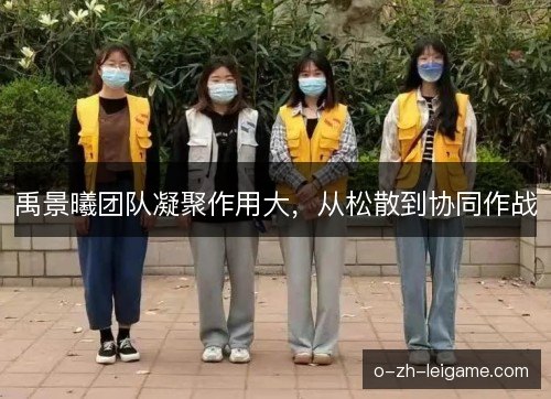 禹景曦团队凝聚作用大，从松散到协同作战