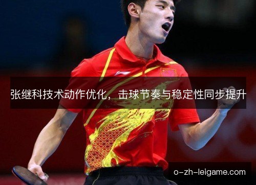 张继科技术动作优化，击球节奏与稳定性同步提升